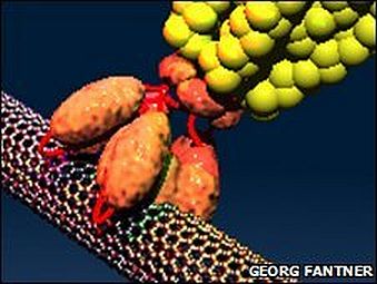 Nanoscopic detail from the Virus battery that could one day power our cars.
